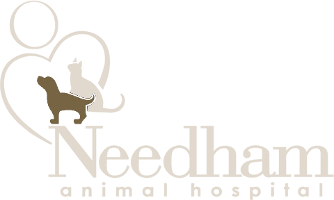 Needham Animal Hospital